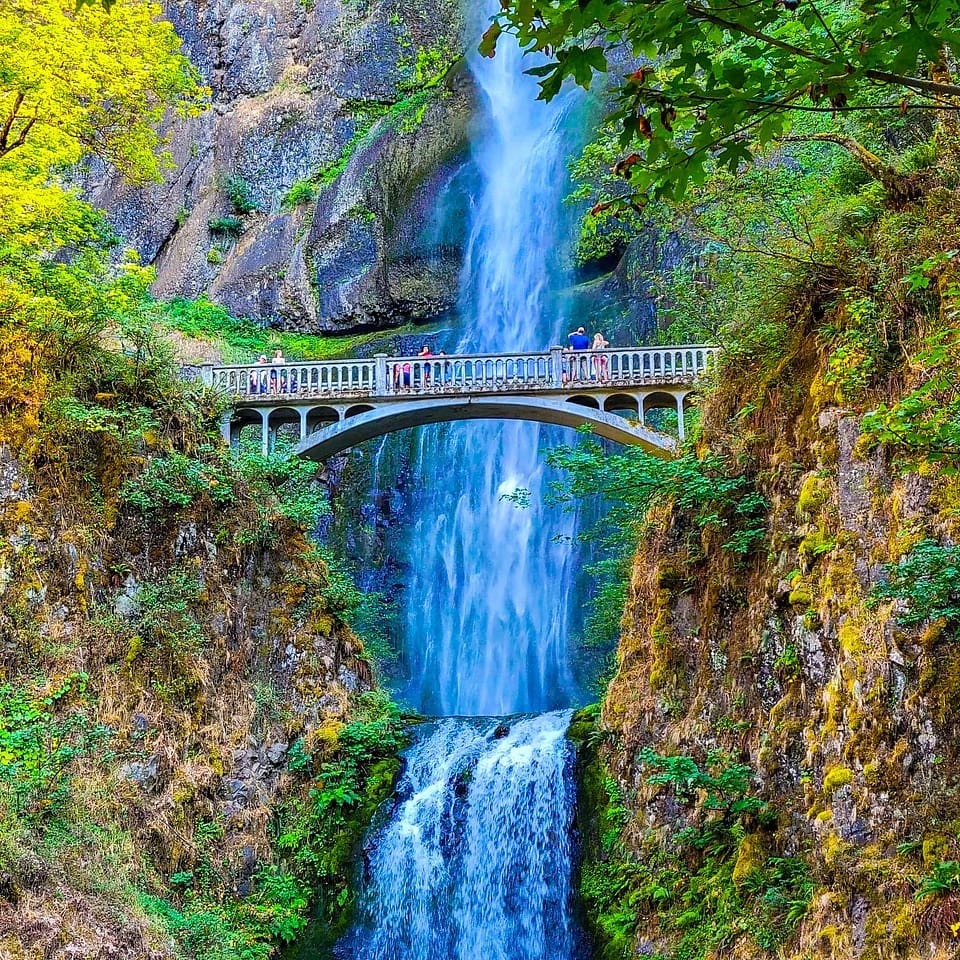 Our Trip to the Pacific Northwest! | SamBam in Mamaland